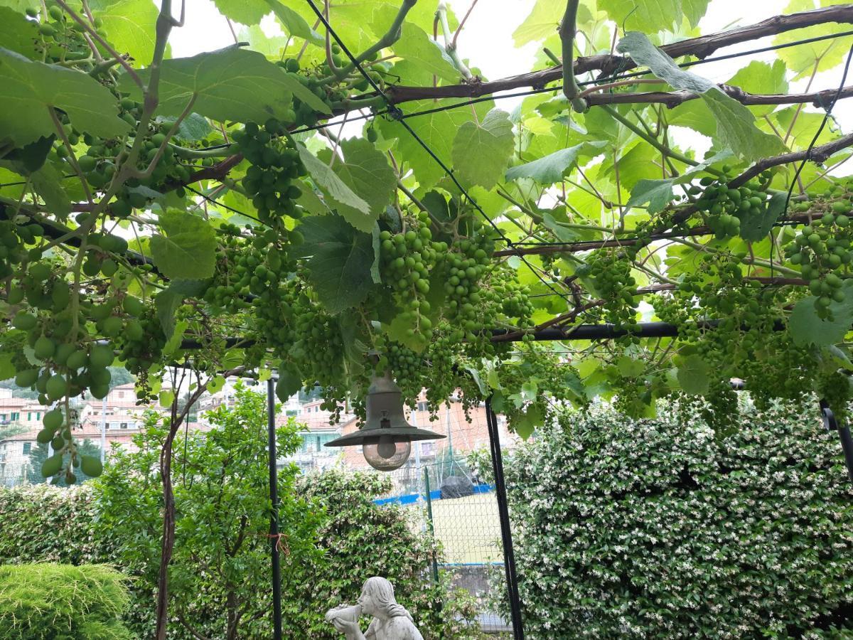 La Villa La Spezia Exteriör bild